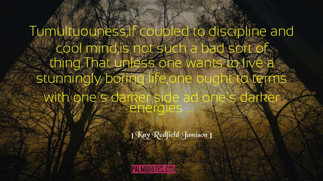 Domestic Discipline quotes by Kay Redfield Jamison