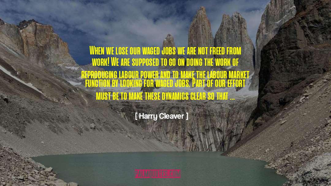 Domestic Labour quotes by Harry Cleaver