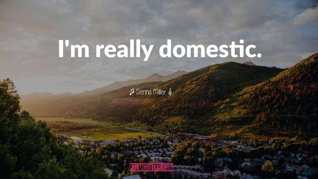 Domestic Sphere quotes by Sienna Miller