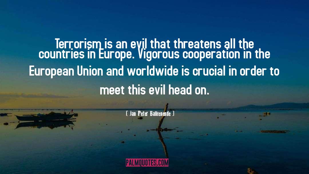 Domestic Terrorism quotes by Jan Peter Balkenende