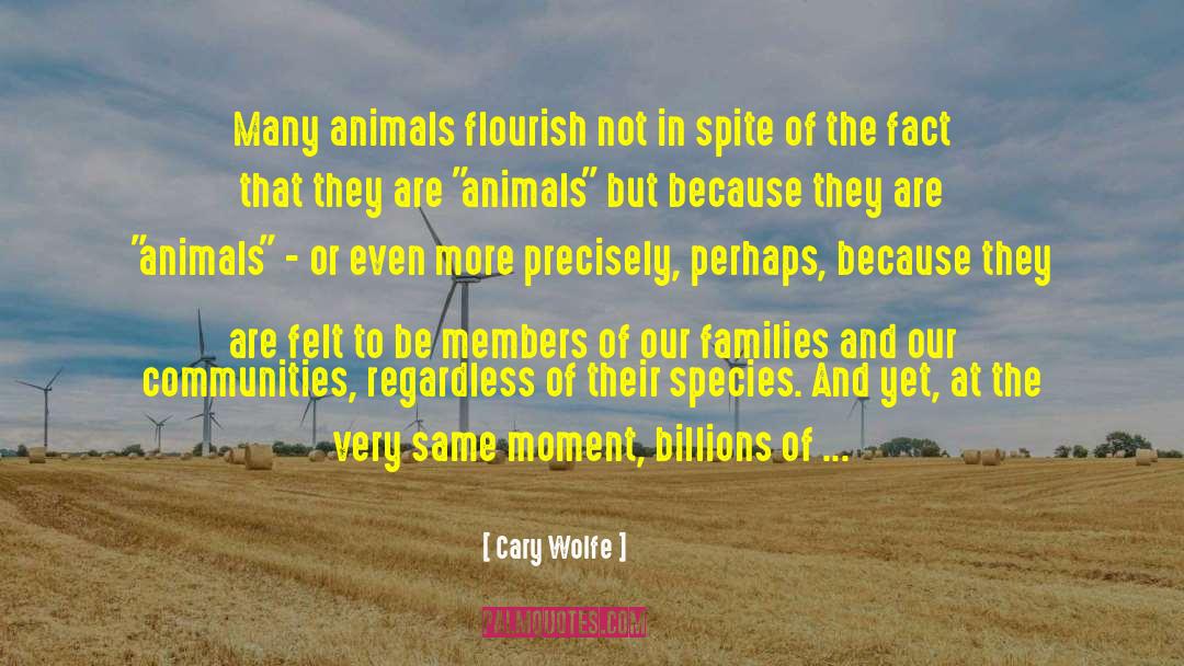 Domesticated Animals quotes by Cary Wolfe