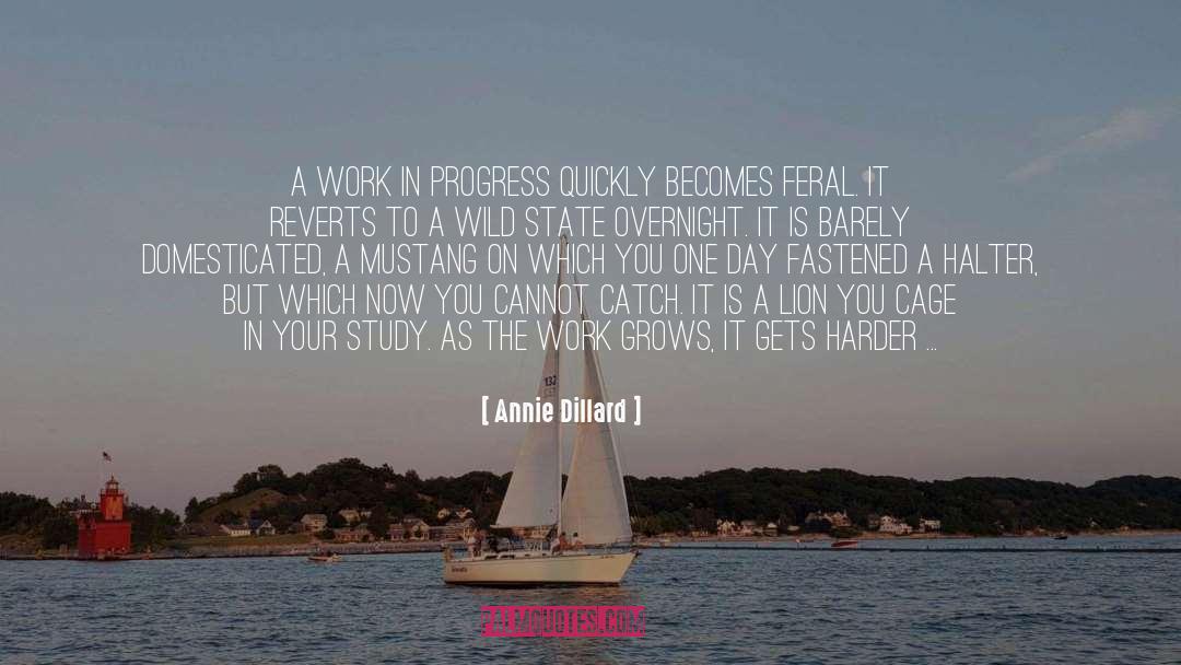 Domesticated quotes by Annie Dillard