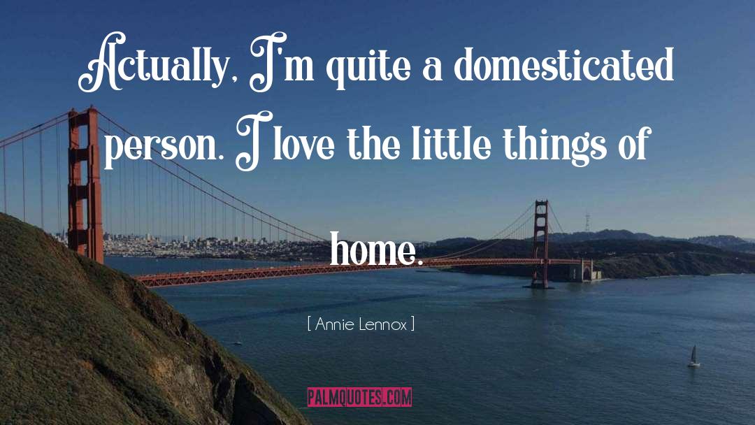 Domesticated quotes by Annie Lennox