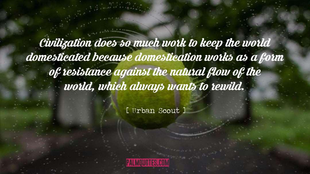 Domesticated quotes by Urban Scout