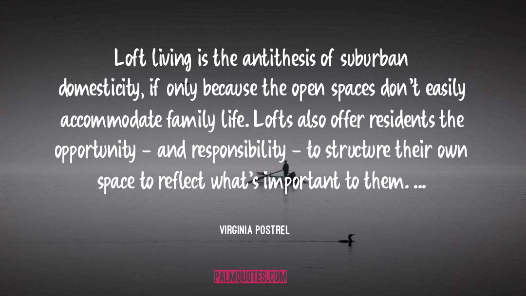 Domesticity quotes by Virginia Postrel