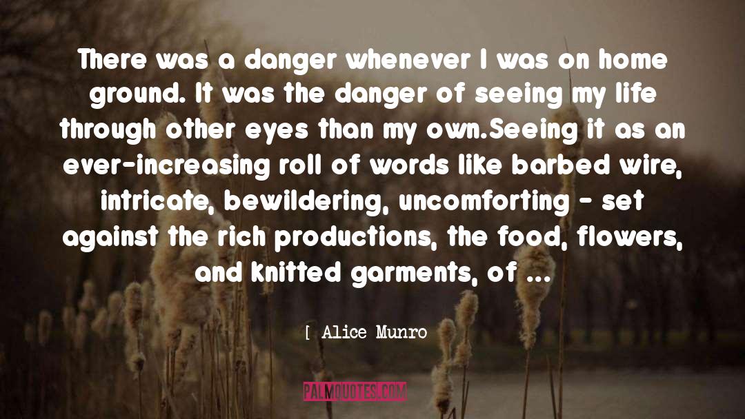 Domesticity quotes by Alice Munro
