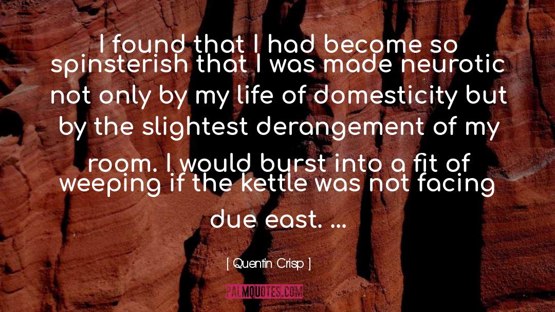 Domesticity quotes by Quentin Crisp