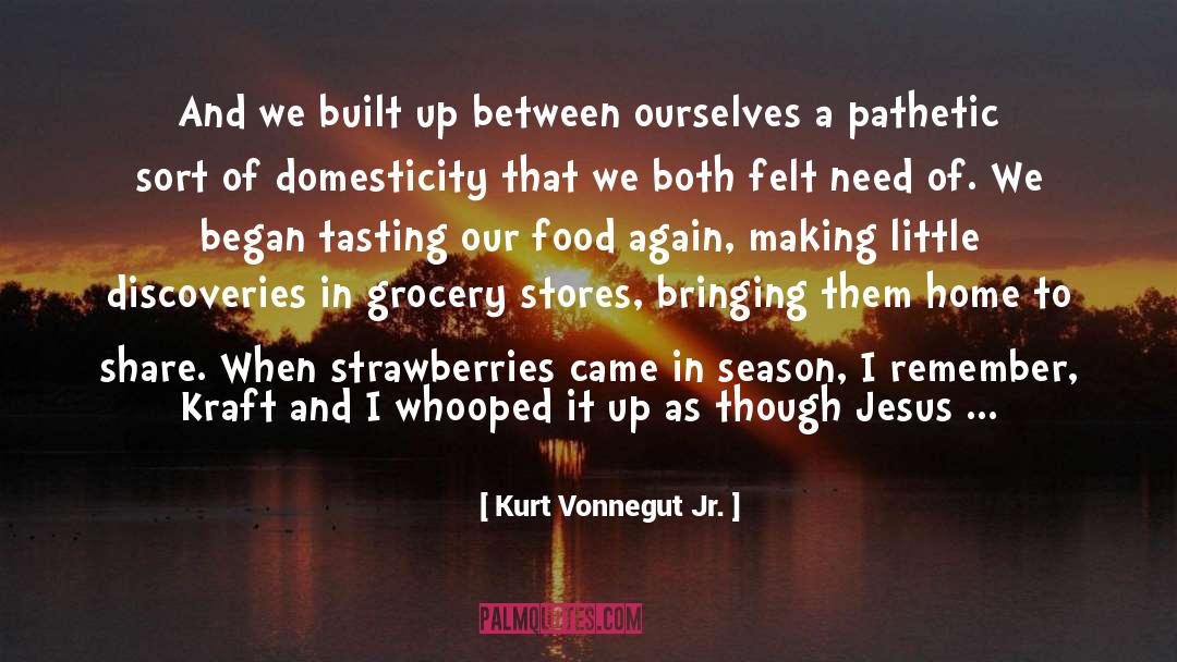 Domesticity quotes by Kurt Vonnegut Jr.