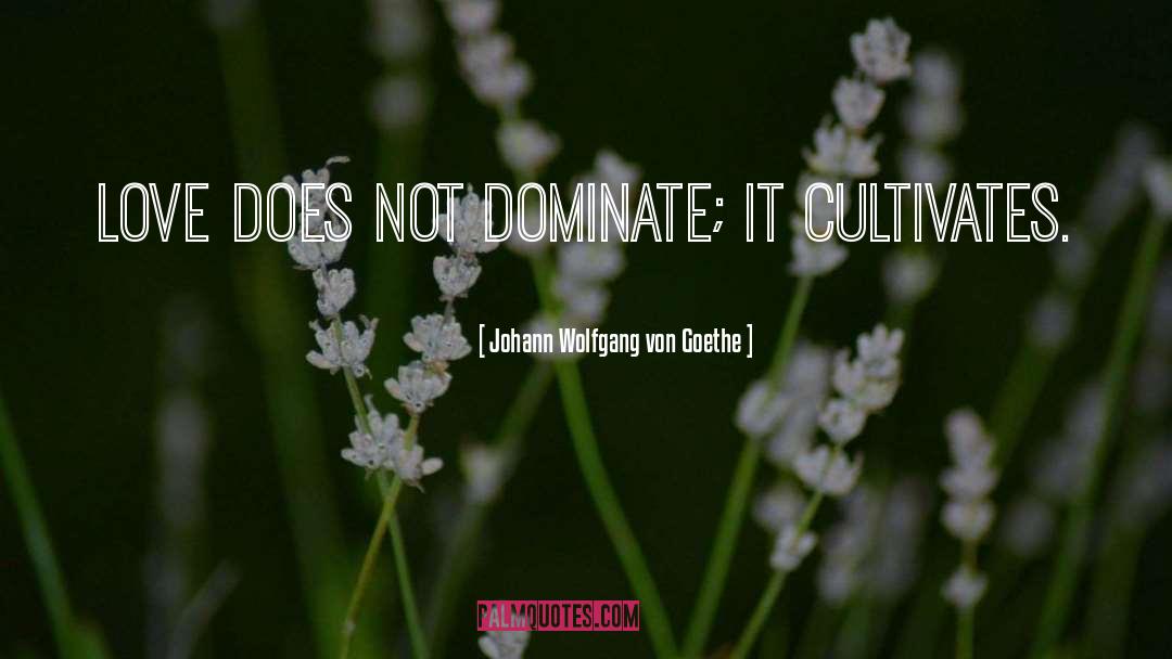 Dominate quotes by Johann Wolfgang Von Goethe