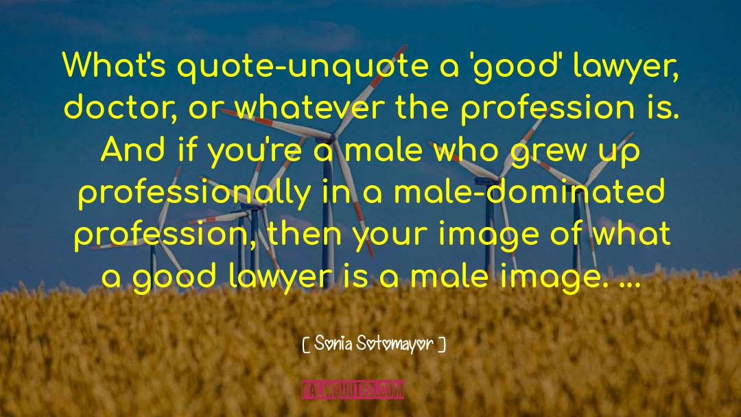 Dominated quotes by Sonia Sotomayor