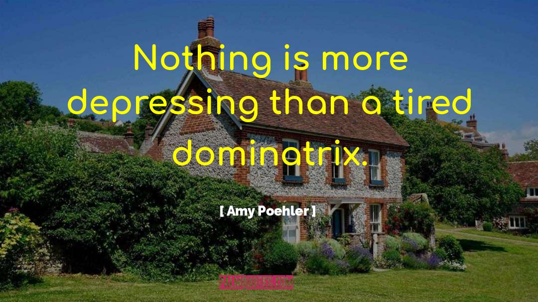 Dominatrix quotes by Amy Poehler