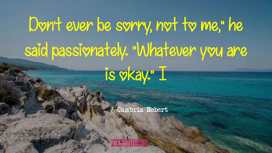 Don 27t Be Sorry quotes by Cambria Hebert