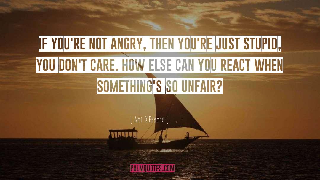 Don 27t Care quotes by Ani DiFranco