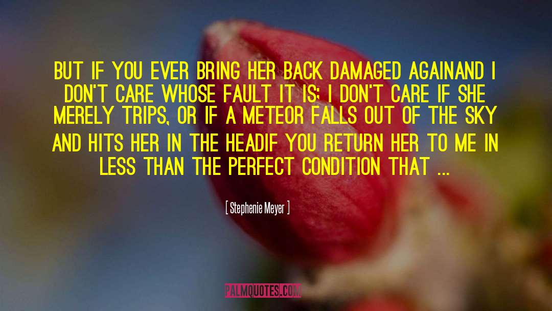 Don 27t Fall In Love quotes by Stephenie Meyer