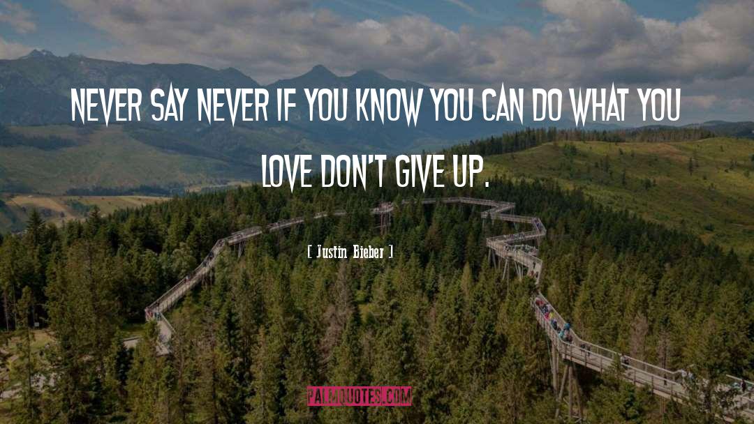 Don 27t Give Up quotes by Justin Bieber