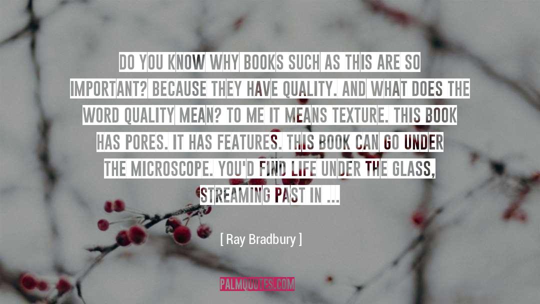 Don 27t Leave Me quotes by Ray Bradbury