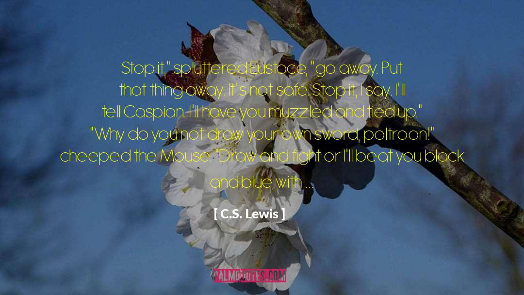 Don 27t Stop Believing quotes by C.S. Lewis