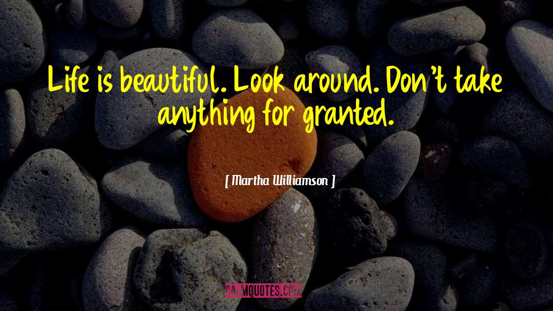 Don 27t Take Anything For Granted quotes by Martha Williamson