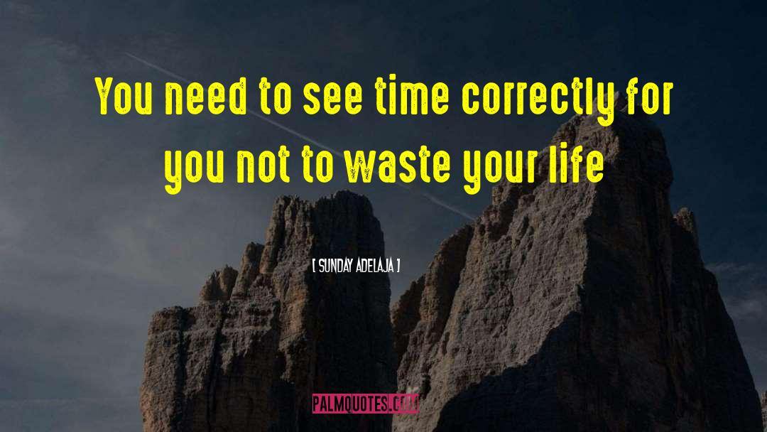 Don 27t Waste Your Time quotes by Sunday Adelaja