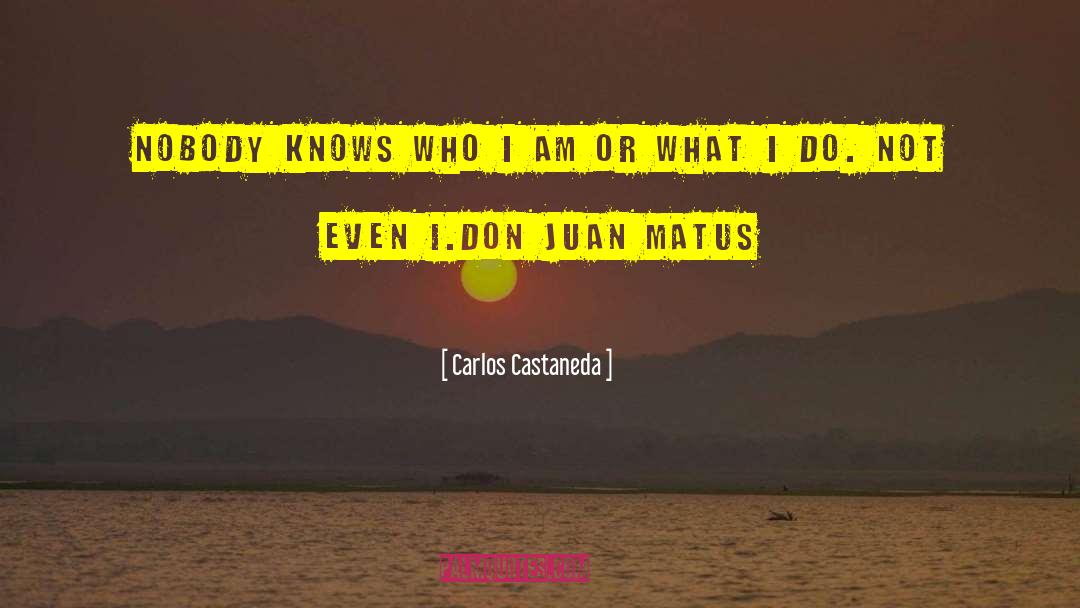 Don Juan quotes by Carlos Castaneda