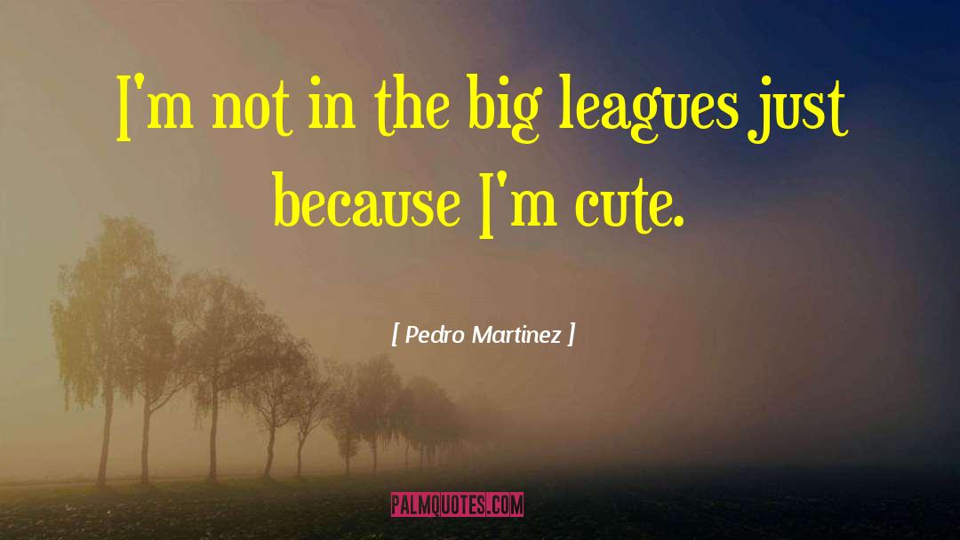Don Pedro Love quotes by Pedro Martinez
