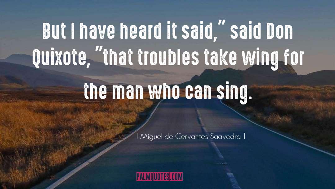 Don Quixote quotes by Miguel De Cervantes Saavedra