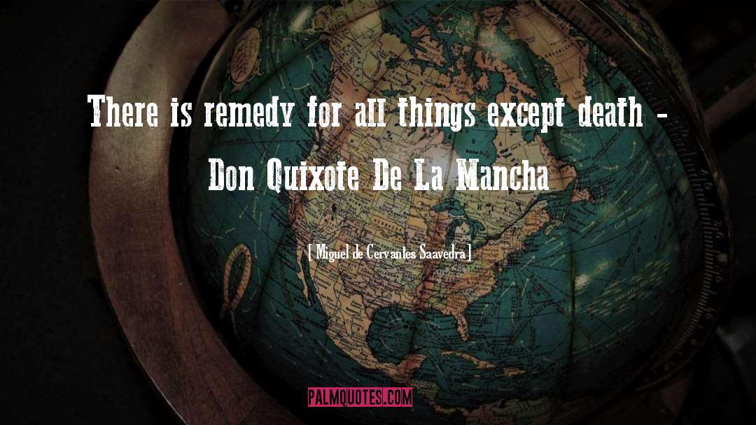 Don Quixote quotes by Miguel De Cervantes Saavedra