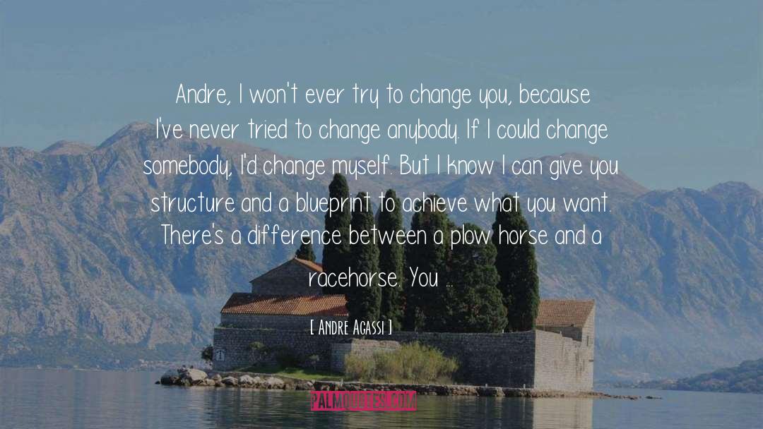 Don T Be Perfect quotes by Andre Agassi