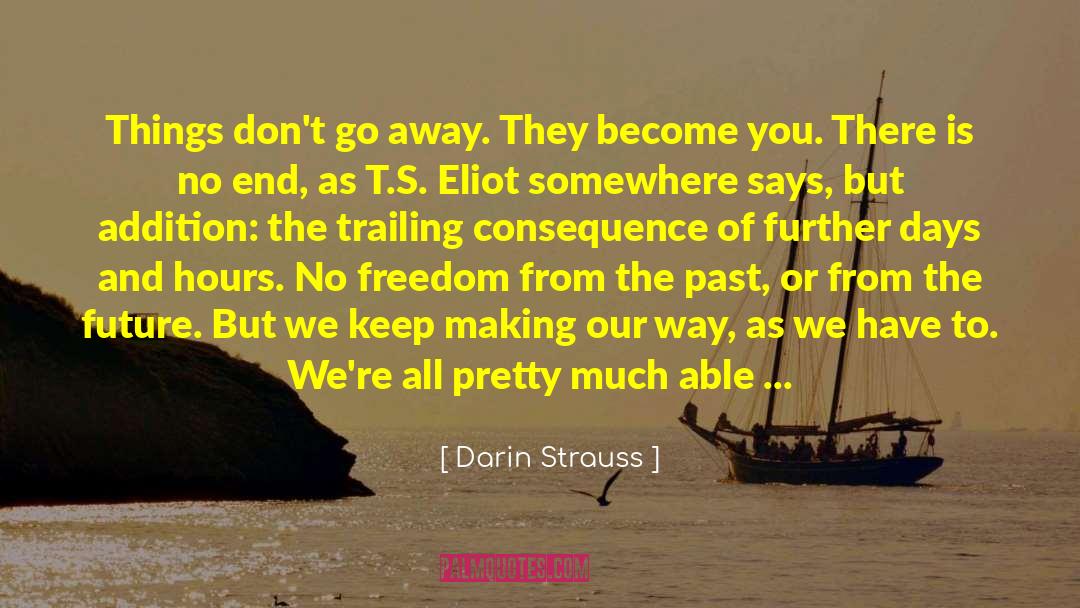 Don T Give In quotes by Darin Strauss