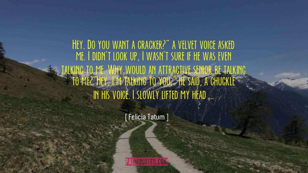 Don T Look Back quotes by Felicia Tatum