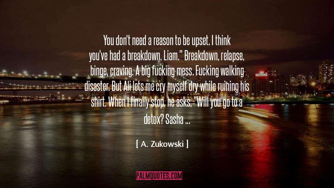 Don T Need A Reason To Love quotes by A. Zukowski