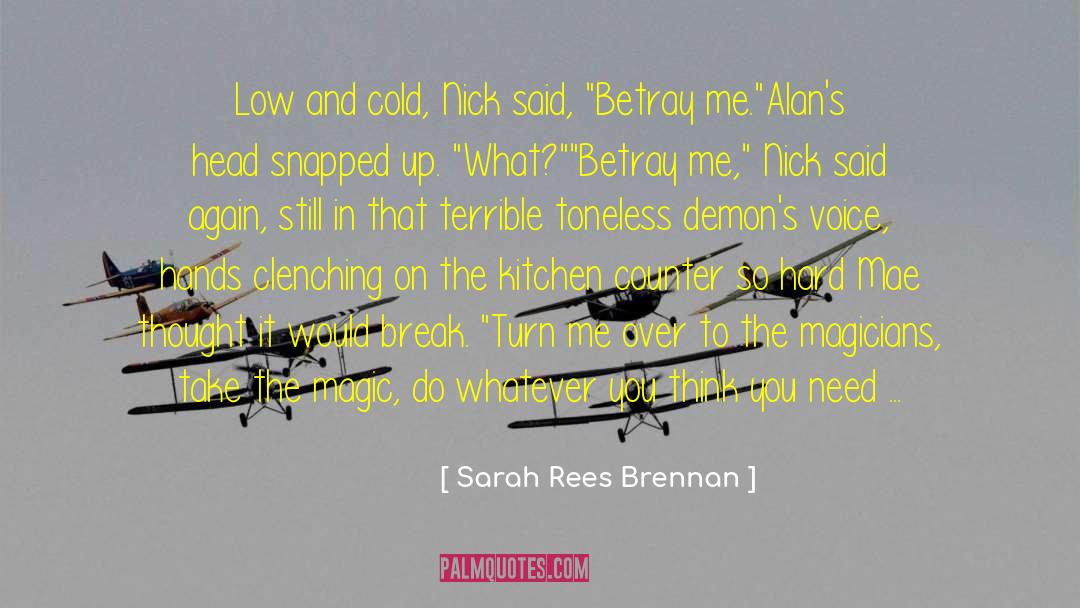 Don T Regret quotes by Sarah Rees Brennan