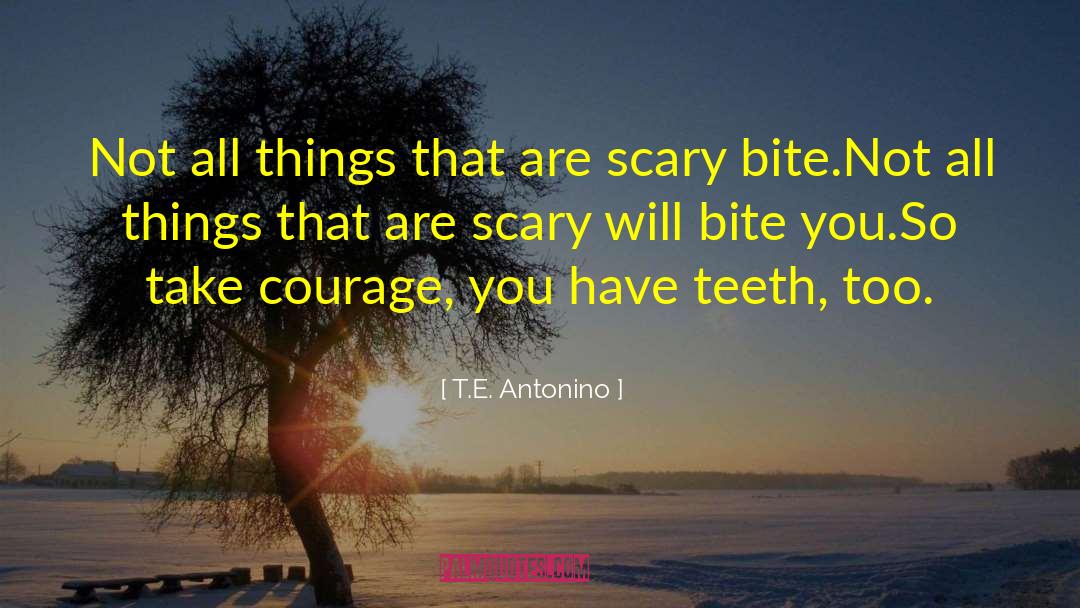 Don T Take Things Too Serious quotes by T.E. Antonino