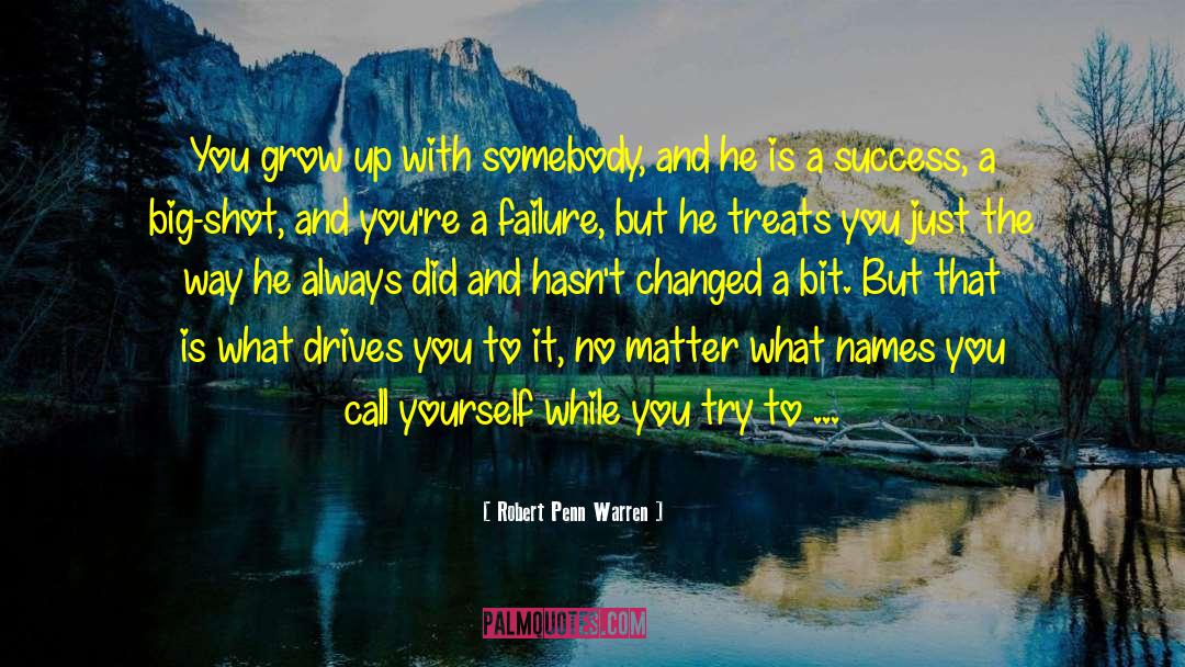 Don T Try To Be A Success quotes by Robert Penn Warren