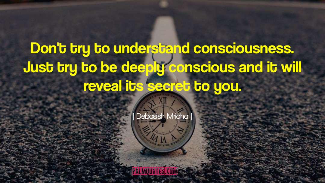 Don T Try To Understand quotes by Debasish Mridha