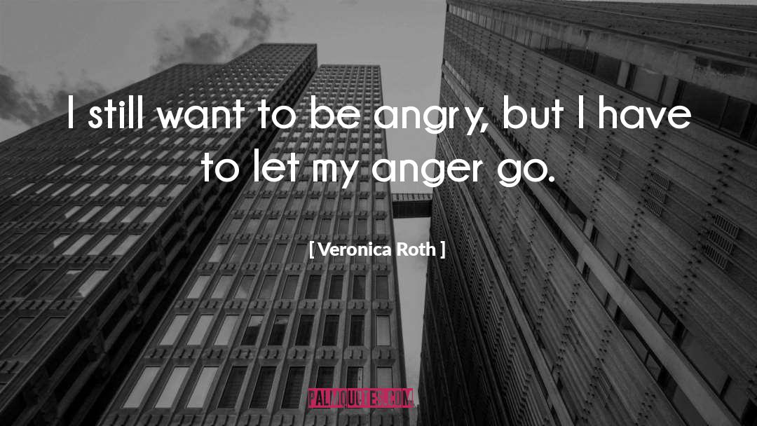 Don T Want To Let Go quotes by Veronica Roth