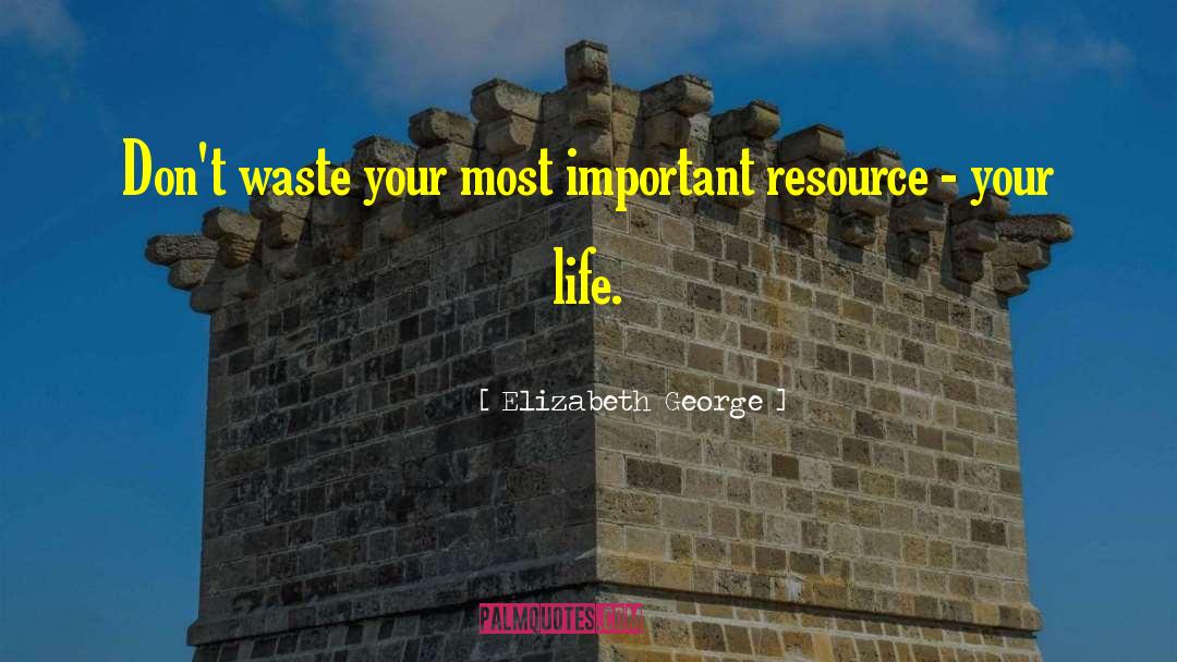 Don T Waste Time quotes by Elizabeth George