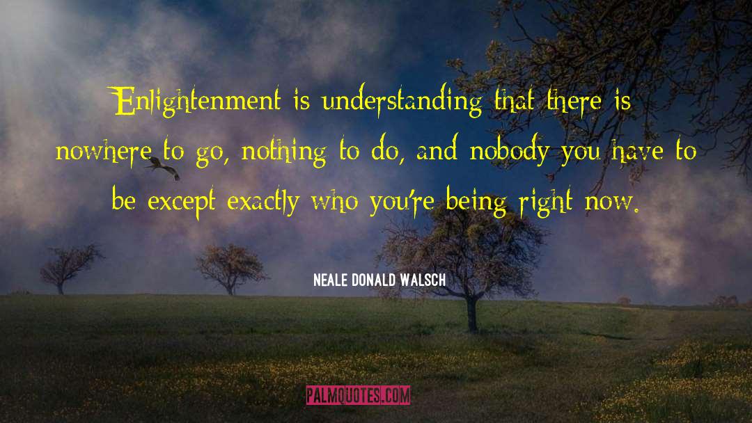 Donald P Mcneill quotes by Neale Donald Walsch