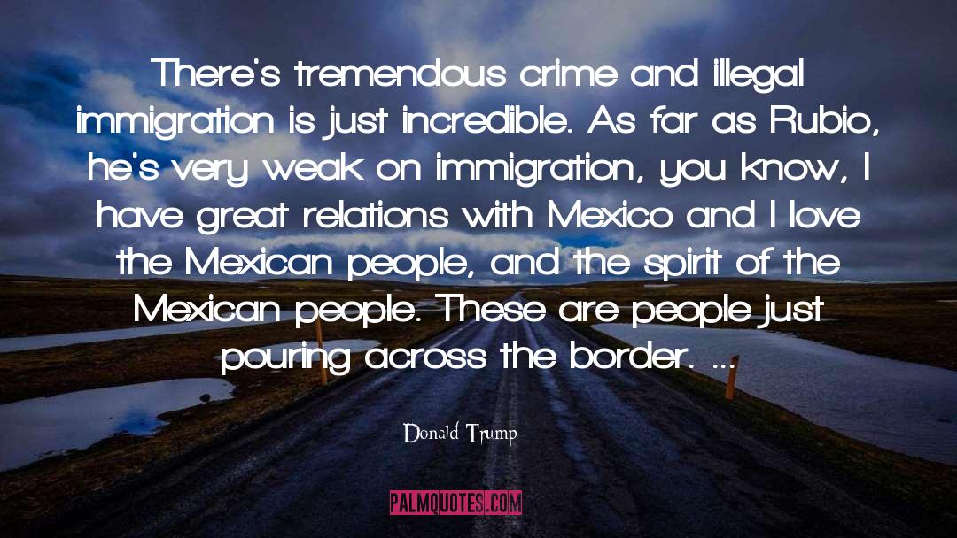 Donald Trump Border Wall quotes by Donald Trump