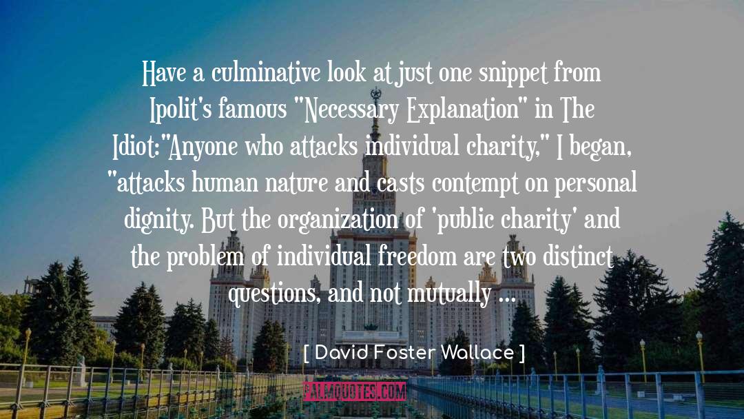 Done With Today quotes by David Foster Wallace