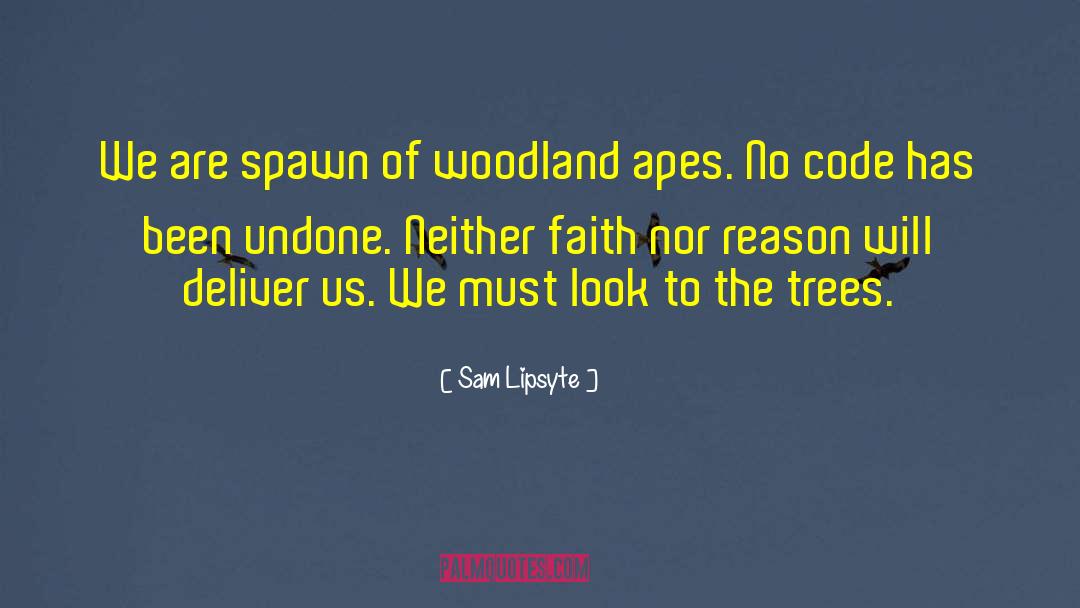 Donisthorpe Woodland quotes by Sam Lipsyte