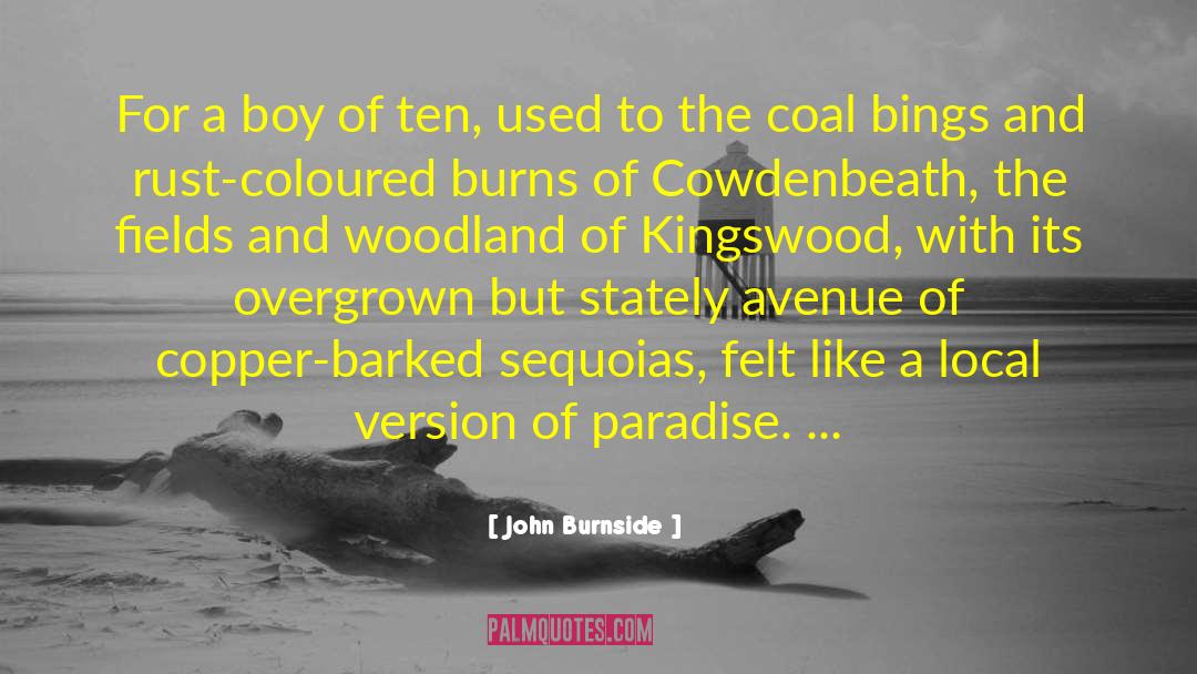 Donisthorpe Woodland quotes by John Burnside