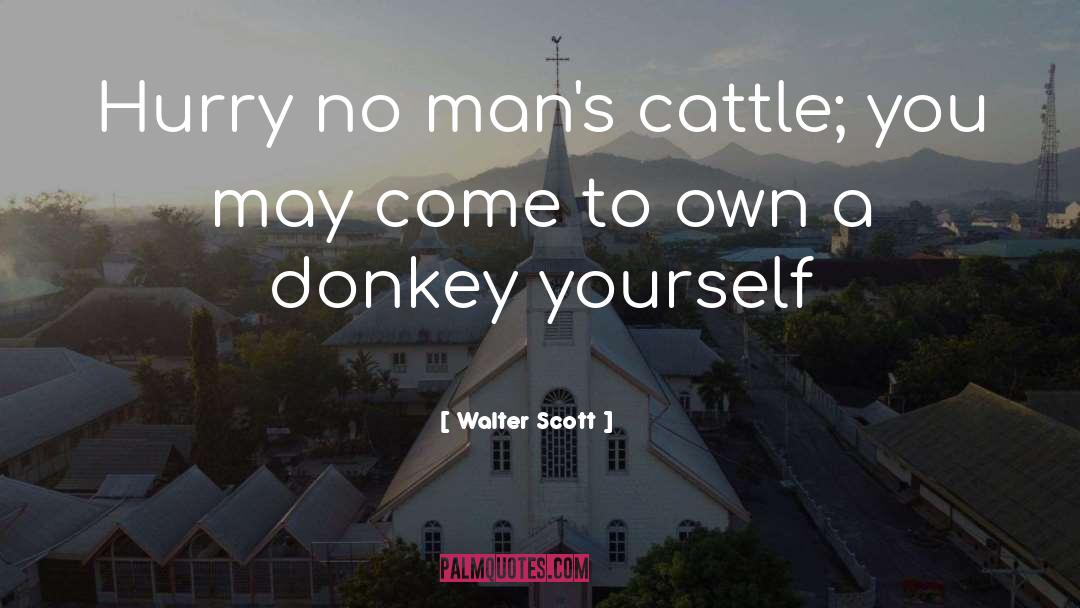 Donkey Insurance quotes by Walter Scott