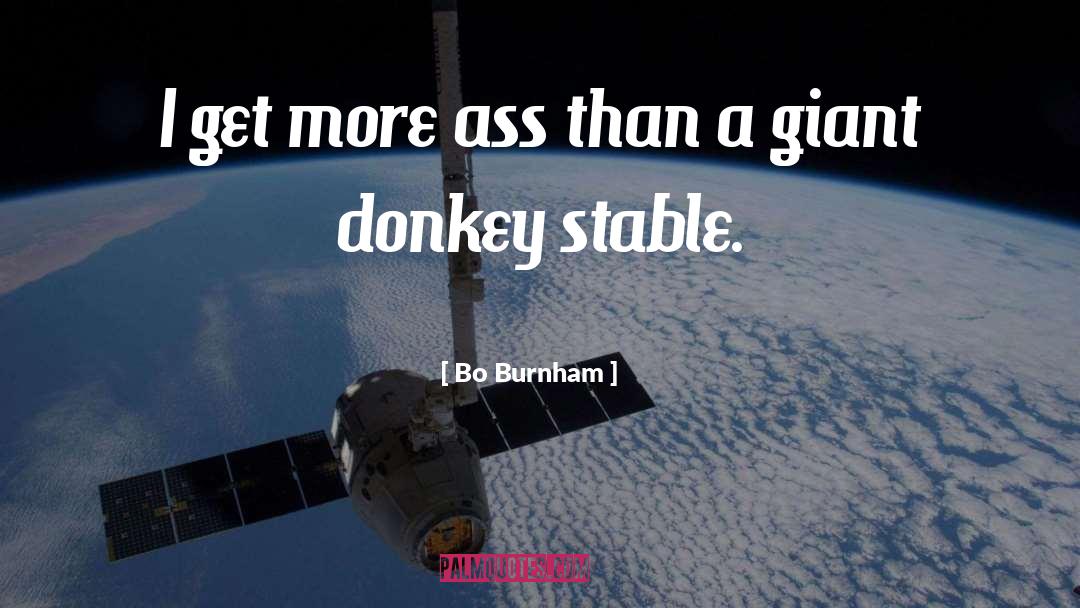 Donkey quotes by Bo Burnham