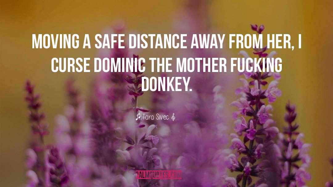 Donkey quotes by Tara Sivec