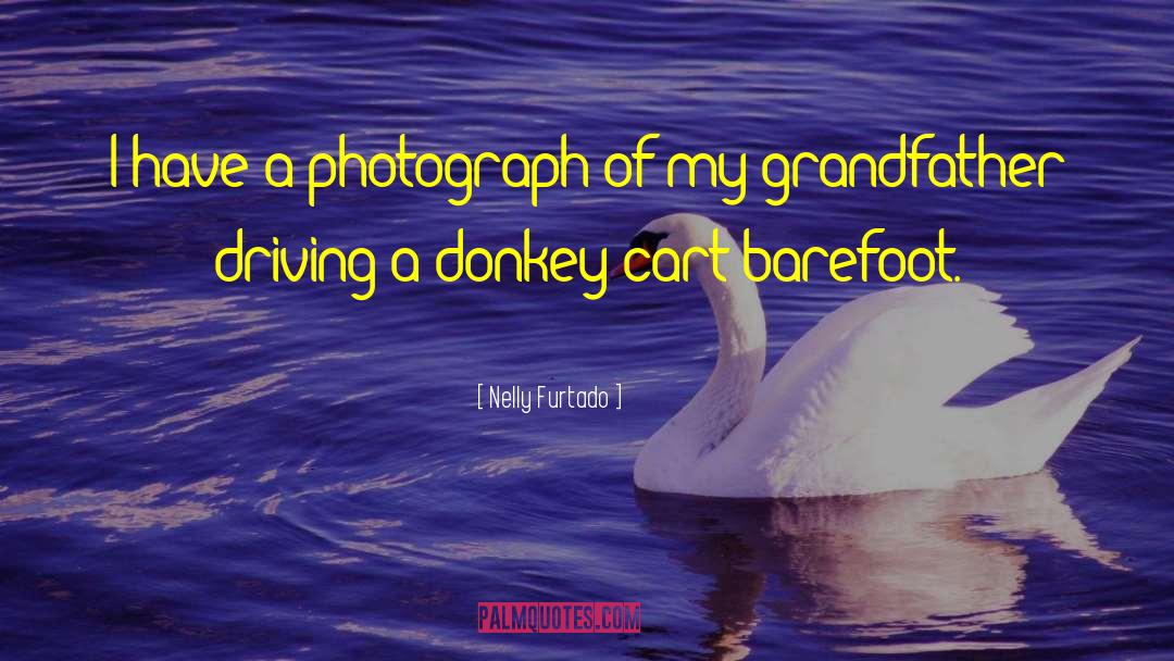 Donkey quotes by Nelly Furtado