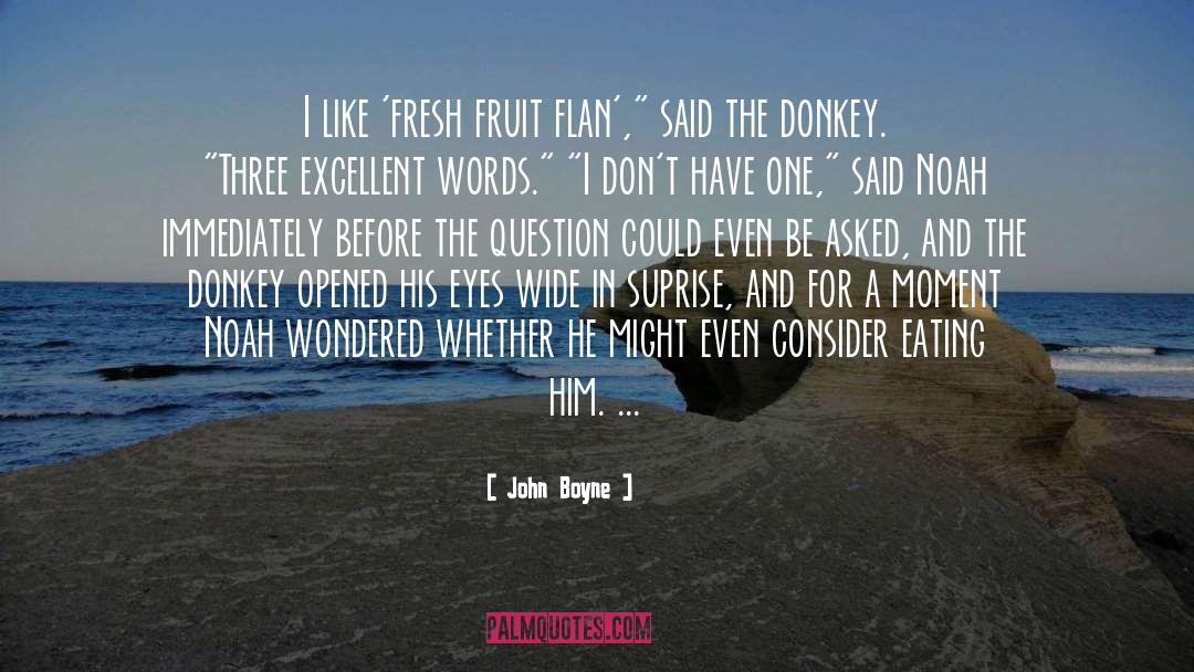 Donkey quotes by John Boyne