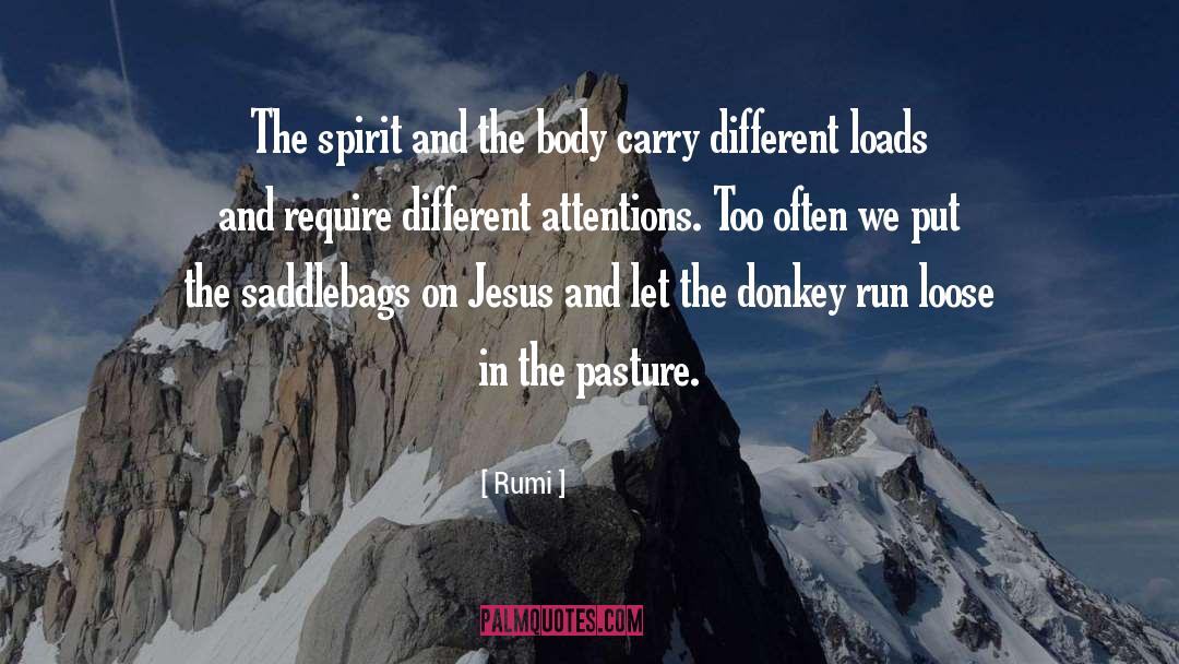Donkey quotes by Rumi