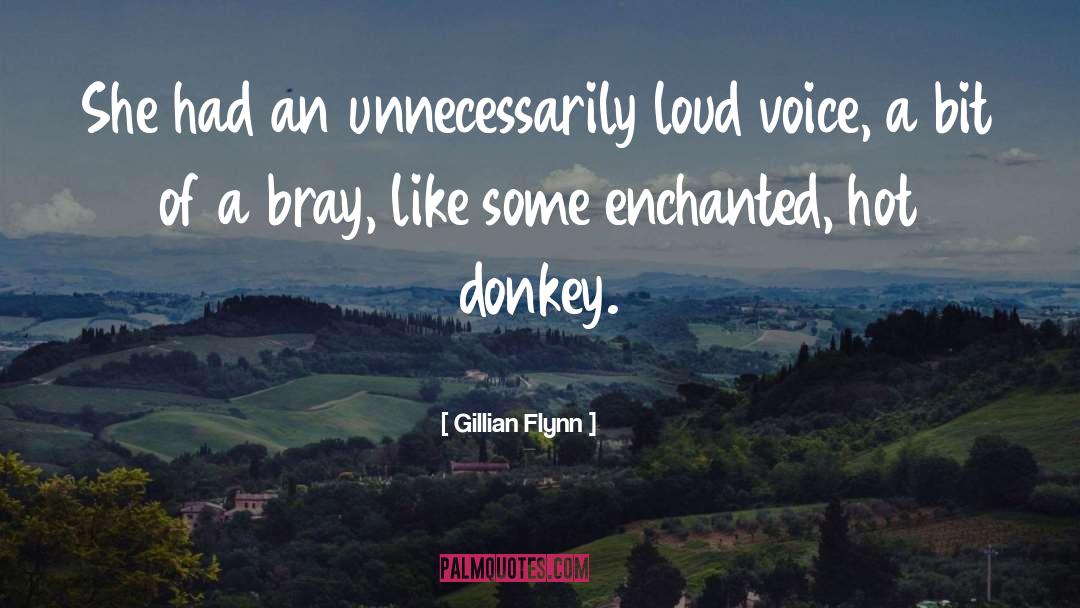 Donkey quotes by Gillian Flynn