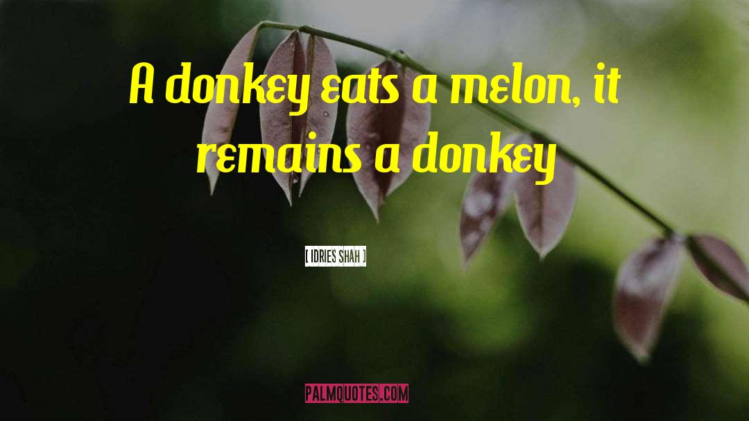 Donkey quotes by Idries Shah